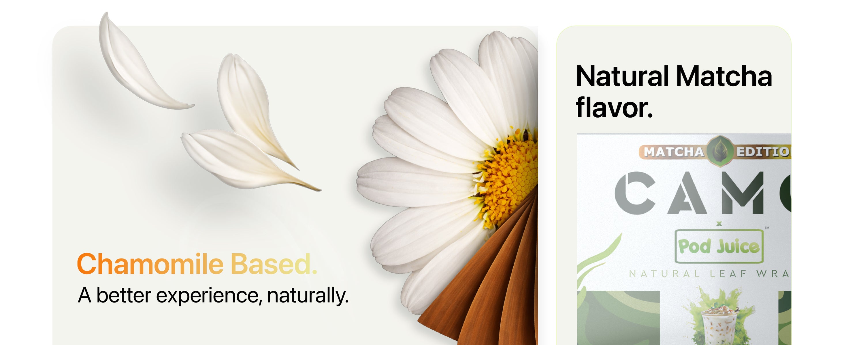 Chamomile flower petals on the left and a product package on the right with text indicating chamomile-based and natural matcha flavor.