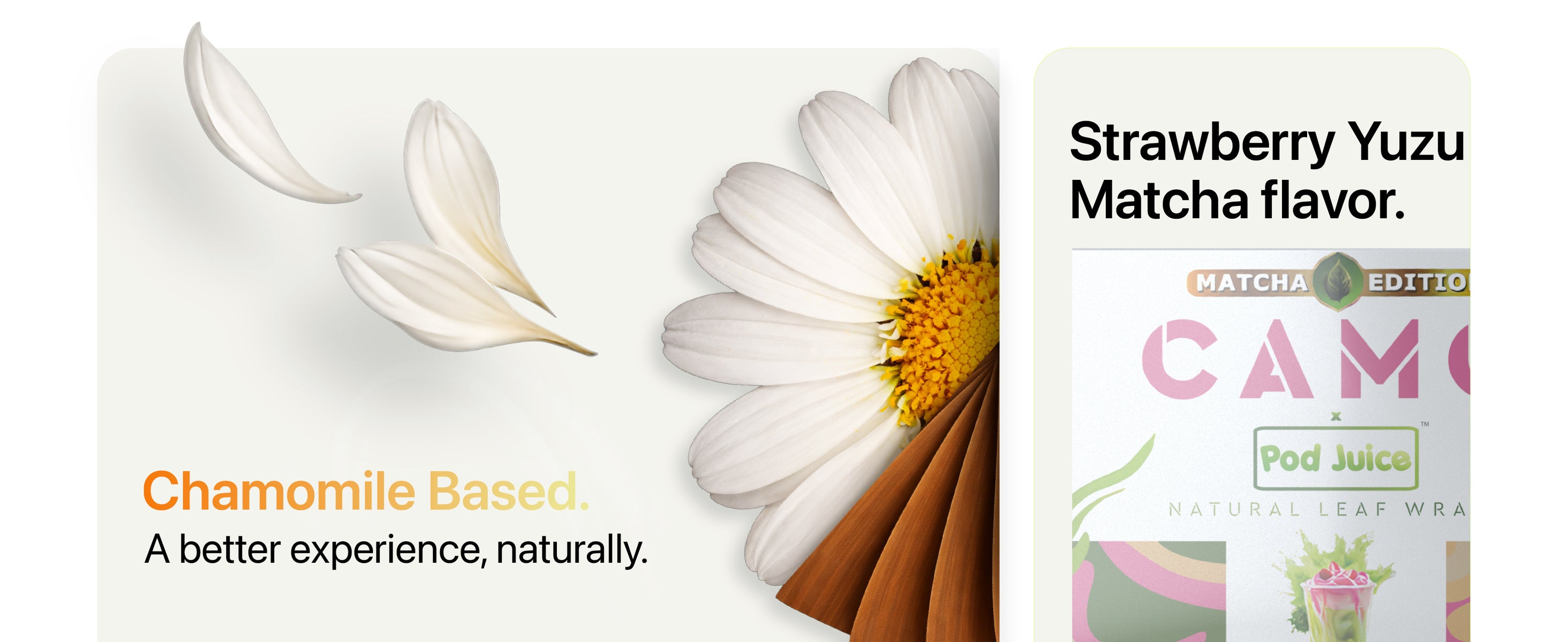 Chamomile flower with falling petals and text “Chamomile Based.” Partial text on the right reads “Strawberry Yuzu Matcha flavor.”.
