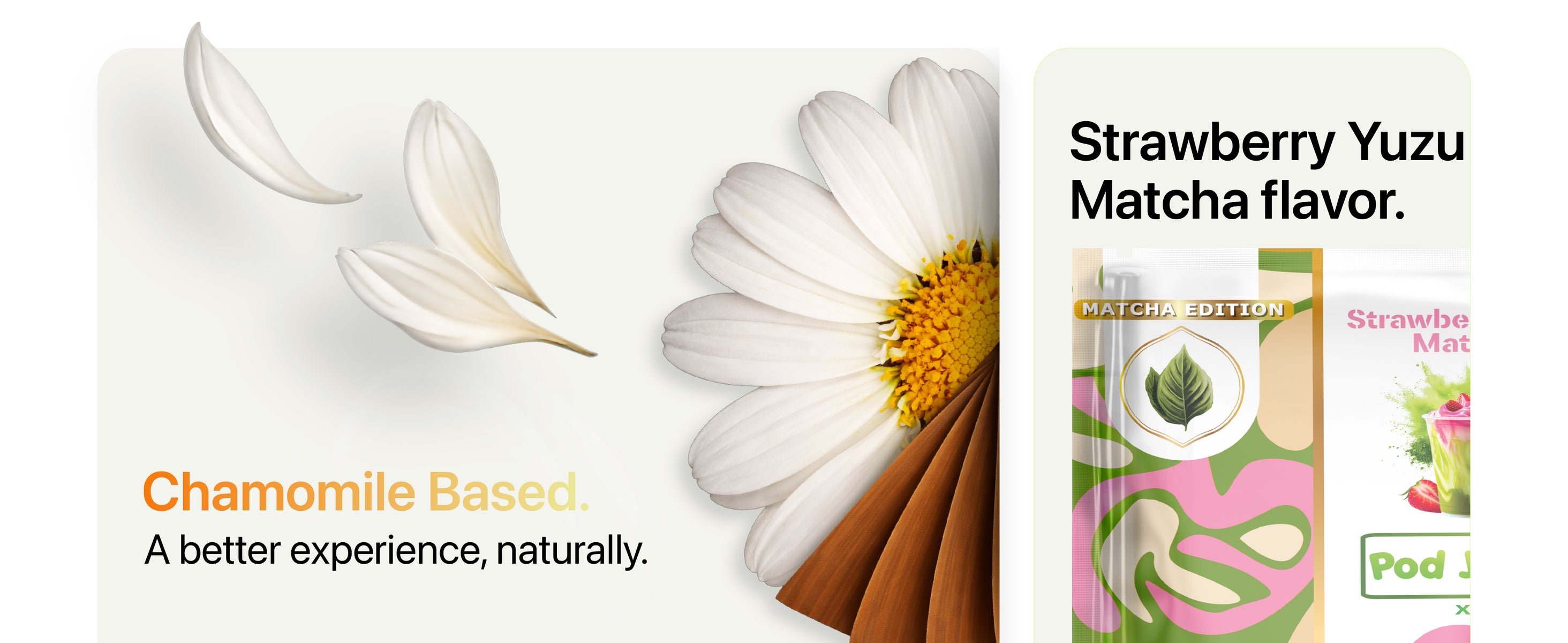 A chamomile flower with petals falling, next to product packaging and Strawberry Yuzu Matcha flavor, with the text Chamomile Based.