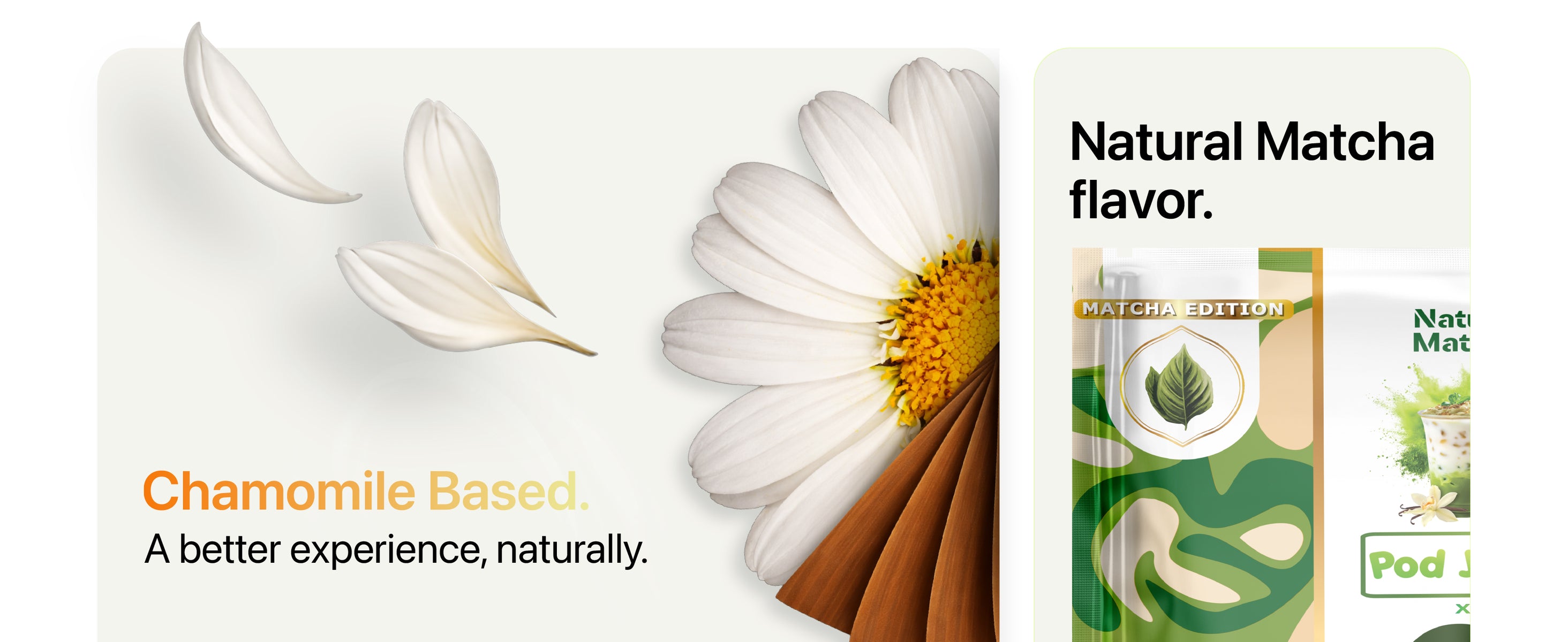 Chamomile flower with falling petals and a cinnamon stick next to a partially visible package labeled Natural Matcha flavor.