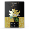 Vanilla flavor CAMO Natural Leaf Cones in a black and yellow box, featuring a vanilla flower image and icons indicating 12 packs, 4 king size cones per pack, made with chamomile, plant-based, and non-GMO.