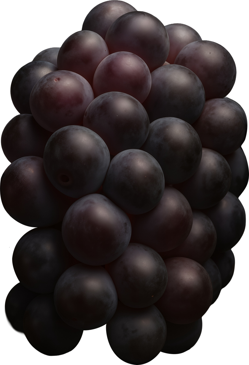 GRAPE